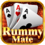 vip rummy all icon