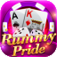 rummy poker icon